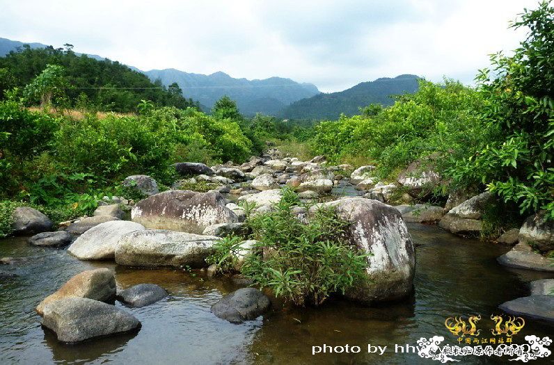 断楼党集结啦！！