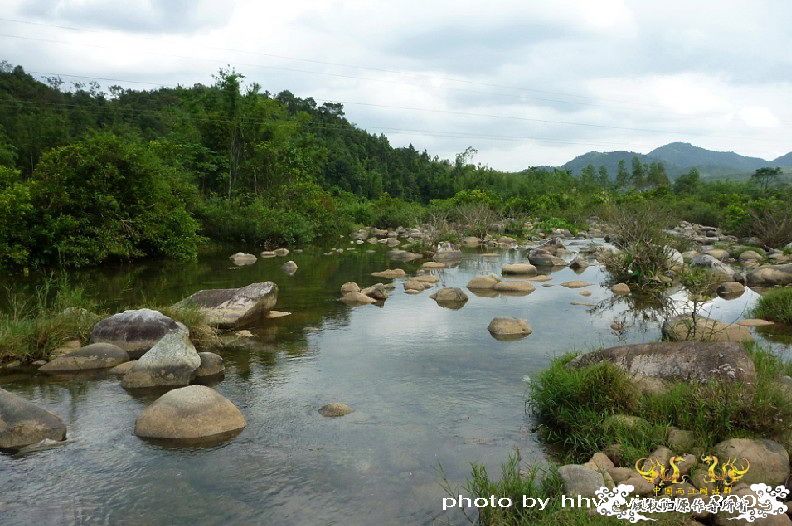 断楼党集结啦！！