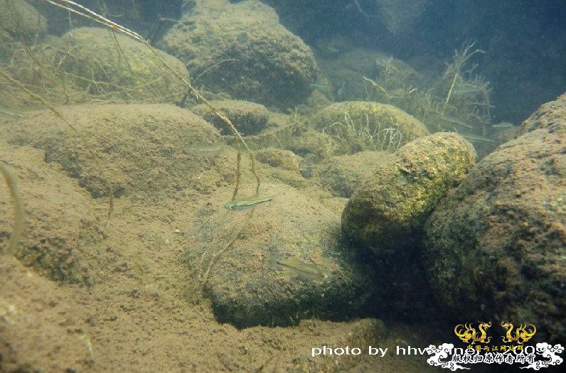 断楼党集结啦！！