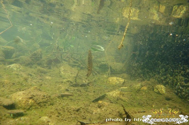 断楼党集结啦！！