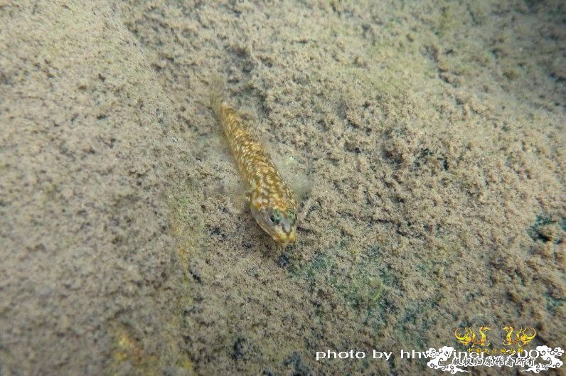 断楼党集结啦！！