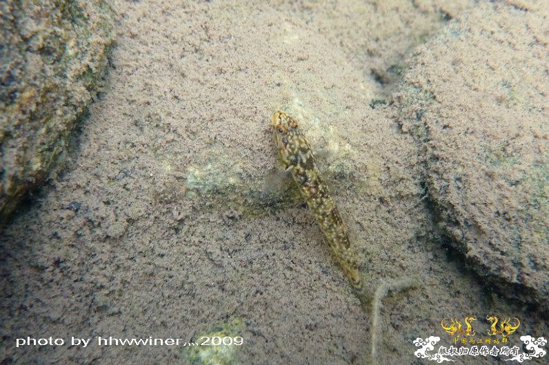 断楼党集结啦！！