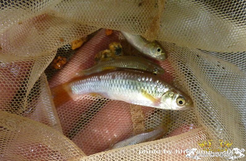 断楼党集结啦！！