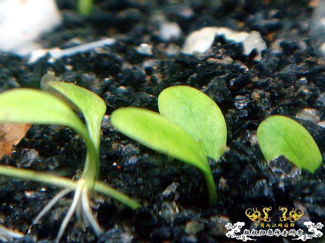 [原创]水淹半水缸