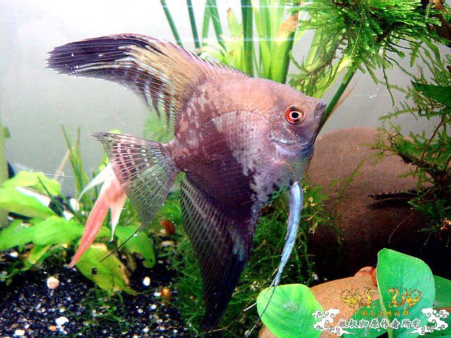 [原创]水淹半水缸