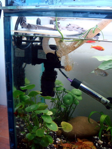 [原创]水淹半水缸