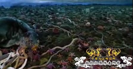 [转帖]英摄影队南极冰层下拍到3米长巨虫抢食死海豹