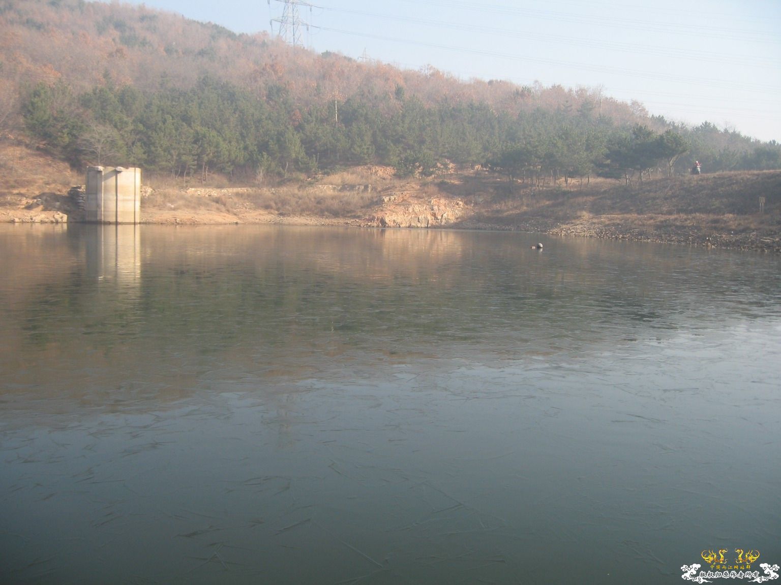 说好放生的，今天都放了~~~~~~~~~~~~~~~~~~~~~~~~