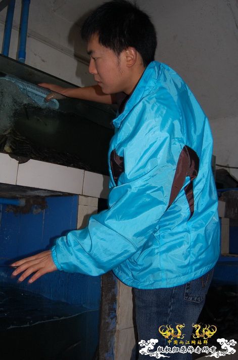 烧到超越甲流--成都12.12-12.13纪实！