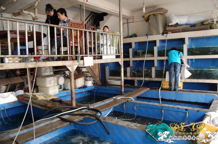 烧到超越甲流--成都12.12-12.13纪实！