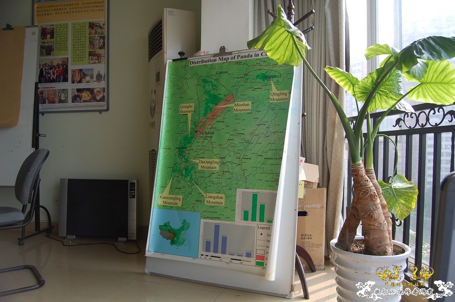 烧到超越甲流--成都12.12-12.13纪实！