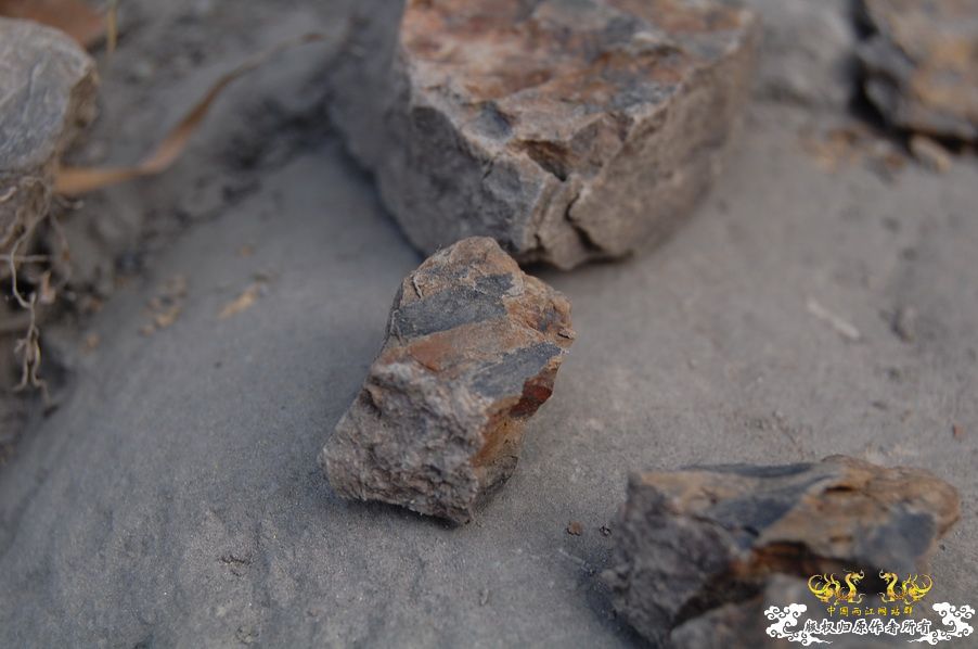 烧到超越甲流--成都12.12-12.13纪实！