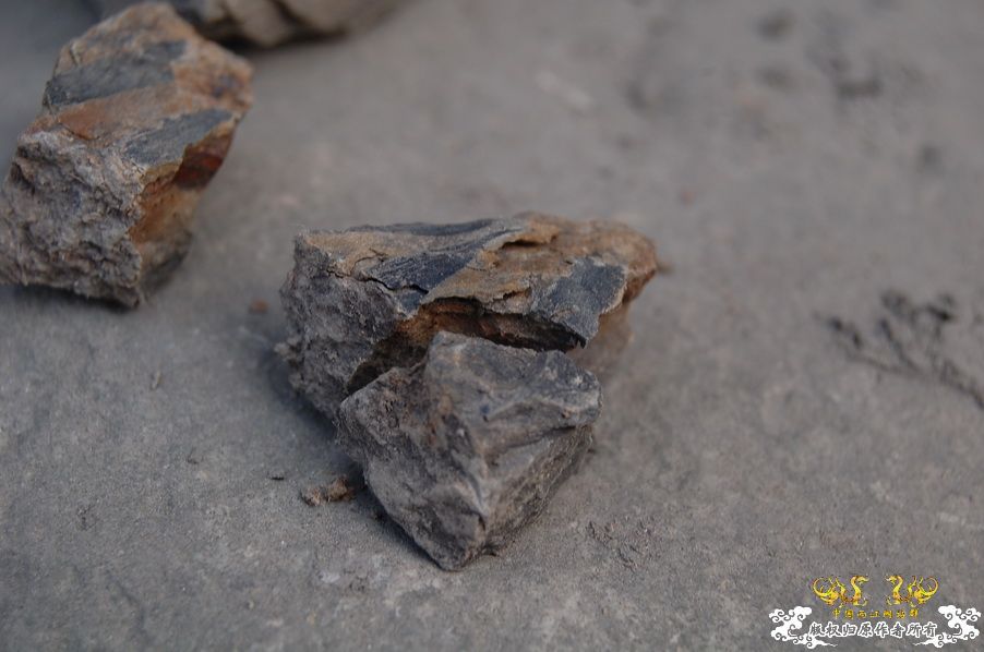 烧到超越甲流--成都12.12-12.13纪实！