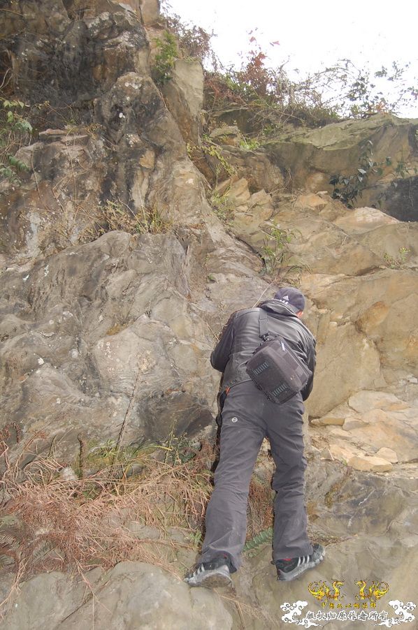 烧到超越甲流--成都12.12-12.13纪实！