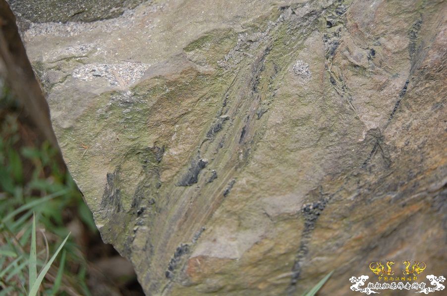 烧到超越甲流--成都12.12-12.13纪实！