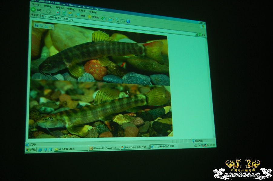 烧到超越甲流--成都12.12-12.13纪实！