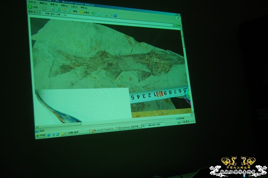 烧到超越甲流--成都12.12-12.13纪实！