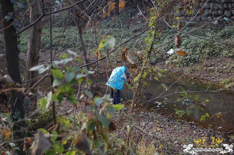 烧到超越甲流--成都12.12-12.13纪实！