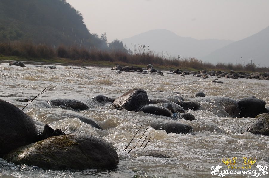 烧到超越甲流--成都12.12-12.13纪实！