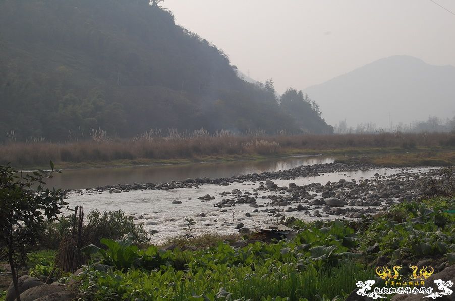 烧到超越甲流--成都12.12-12.13纪实！