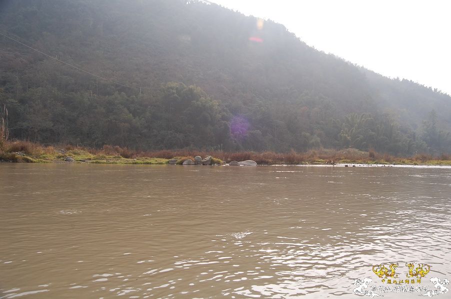 烧到超越甲流--成都12.12-12.13纪实！