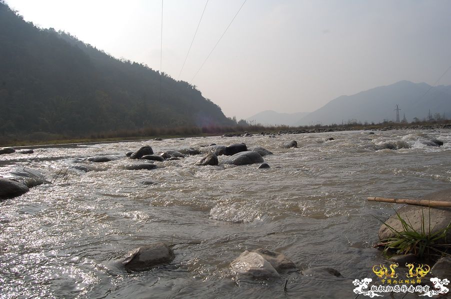 烧到超越甲流--成都12.12-12.13纪实！