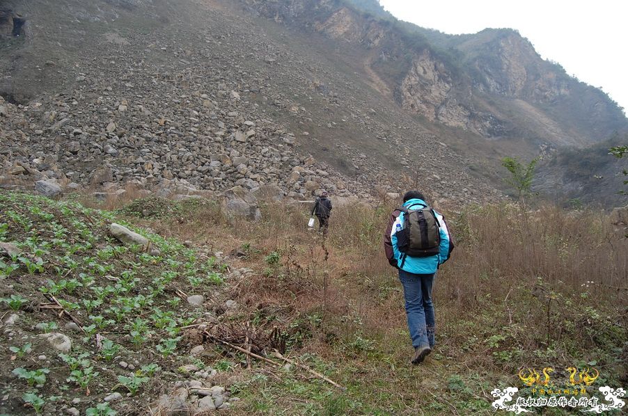 烧到超越甲流--成都12.12-12.13纪实！