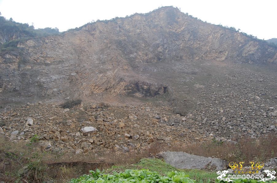 烧到超越甲流--成都12.12-12.13纪实！