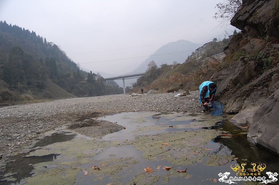 烧到超越甲流--成都12.12-12.13纪实！