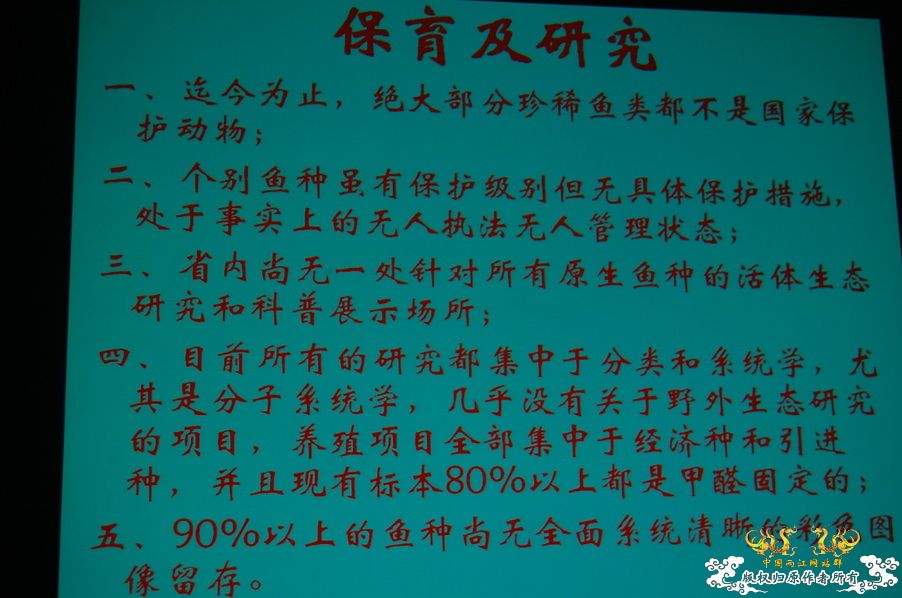 烧到超越甲流--成都12.12-12.13纪实！