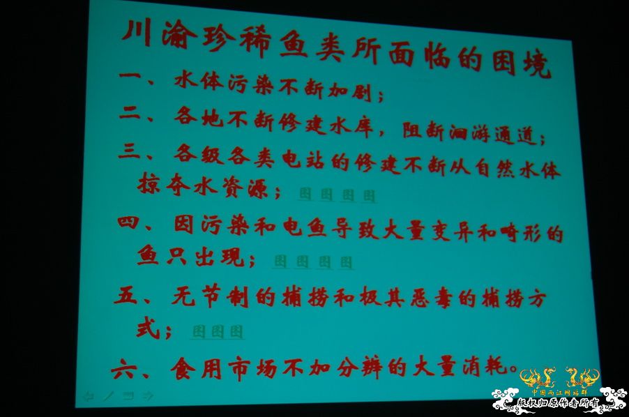 烧到超越甲流--成都12.12-12.13纪实！