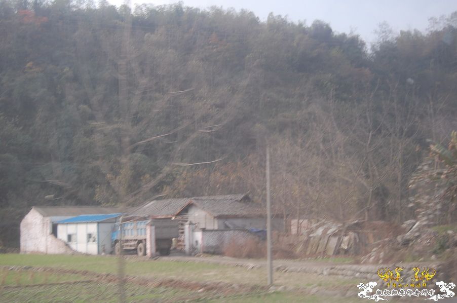 烧到超越甲流--成都12.12-12.13纪实！