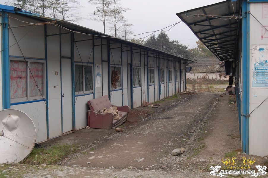 烧到超越甲流--成都12.12-12.13纪实！