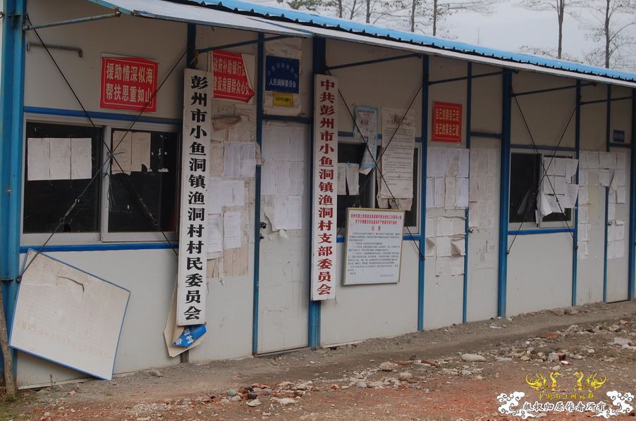 烧到超越甲流--成都12.12-12.13纪实！