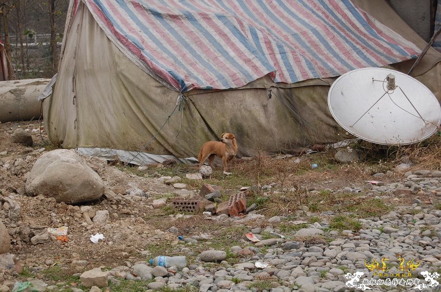 烧到超越甲流--成都12.12-12.13纪实！