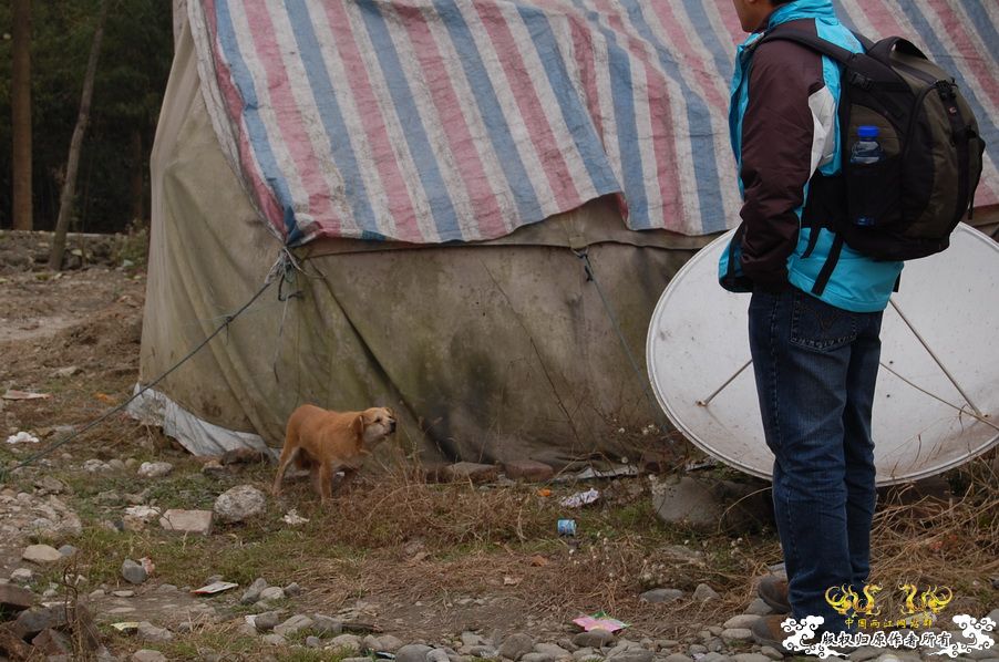 烧到超越甲流--成都12.12-12.13纪实！