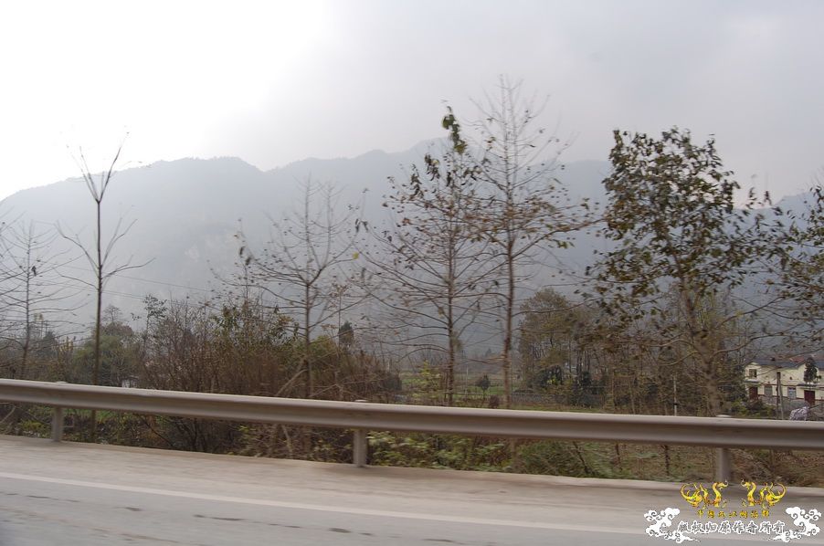 烧到超越甲流--成都12.12-12.13纪实！