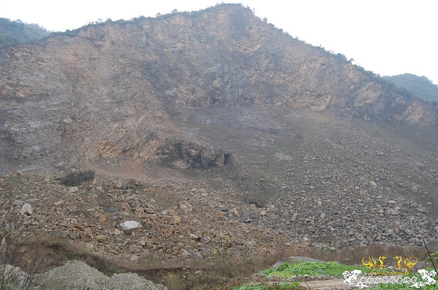 烧到超越甲流--成都12.12-12.13纪实！