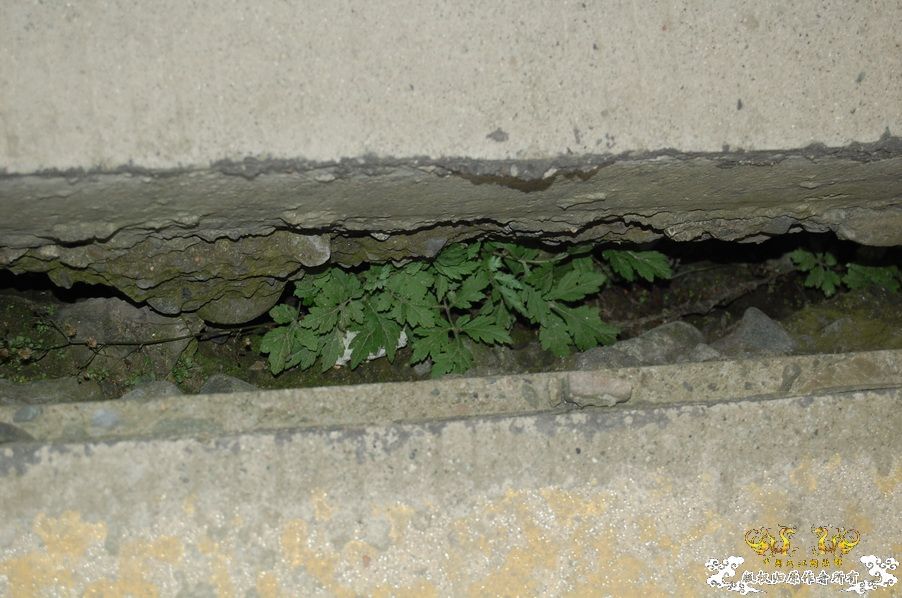 烧到超越甲流--成都12.12-12.13纪实！