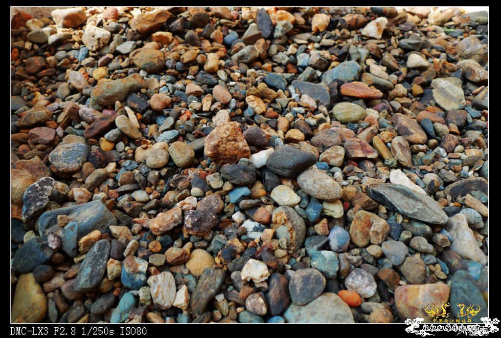 [原创]翻缸只为养本土原生！