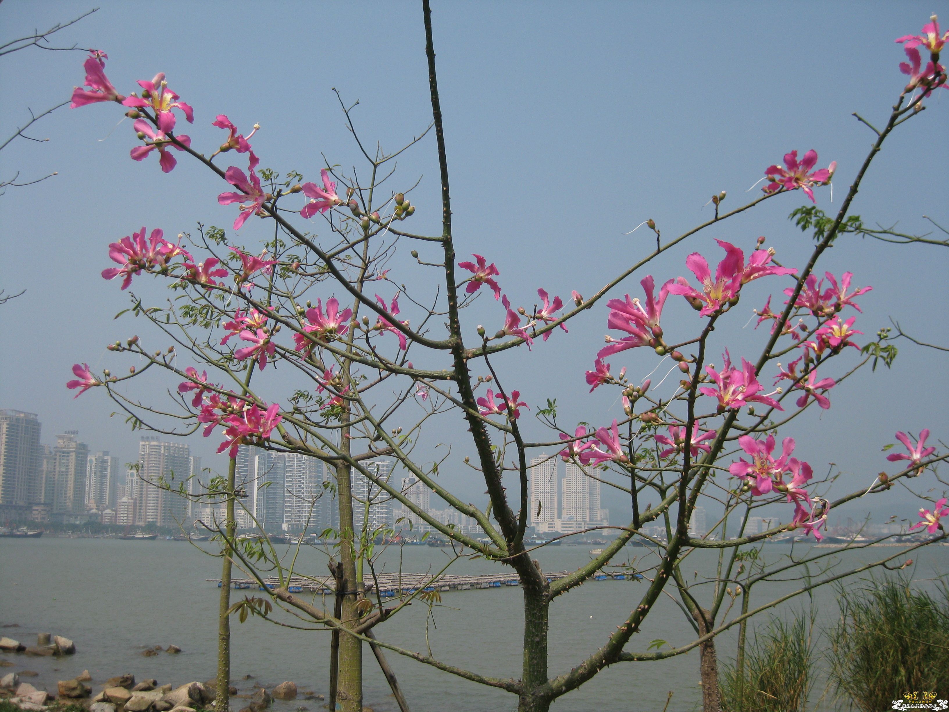 珠海