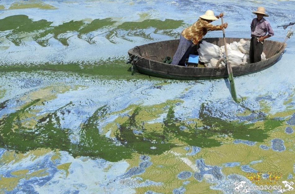 路透社09年度图片——自然环境 中国篇