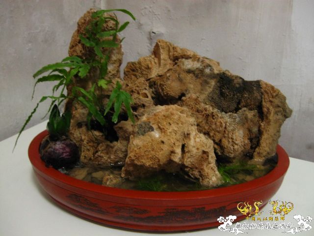 [分享]帮忙认认鱼