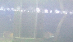 褐吻 虾虎 产卵了