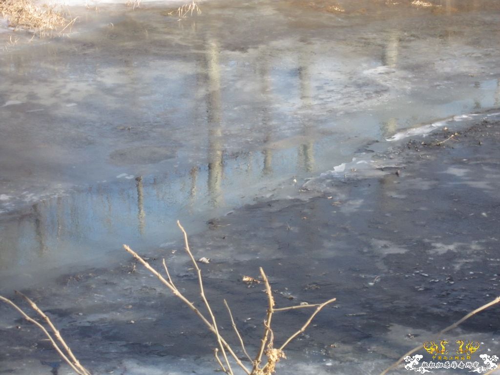 黑镜头—丑态+病态