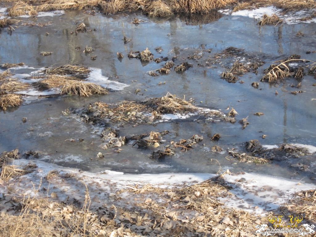 黑镜头—丑态+病态