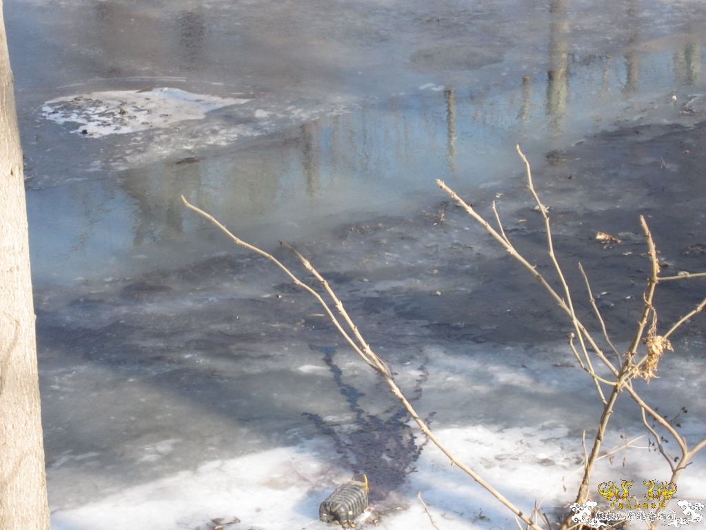 黑镜头—丑态+病态