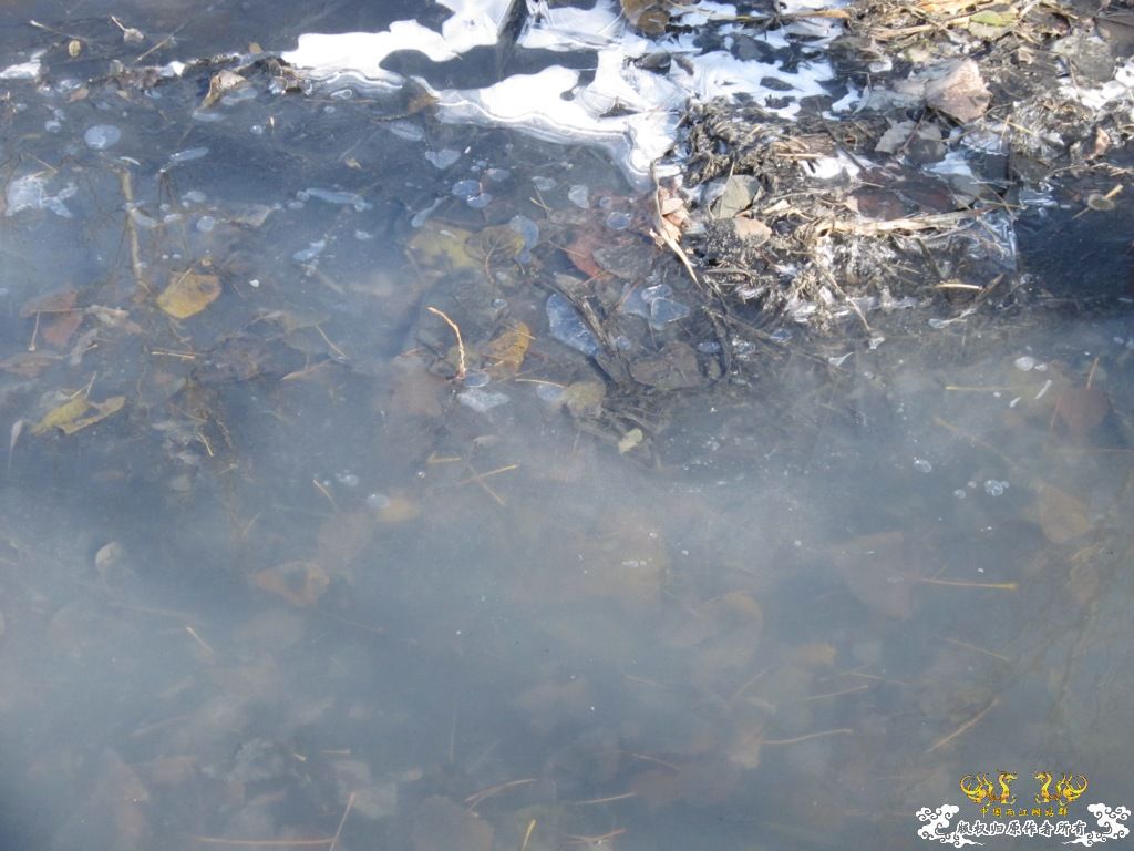 黑镜头—丑态+病态