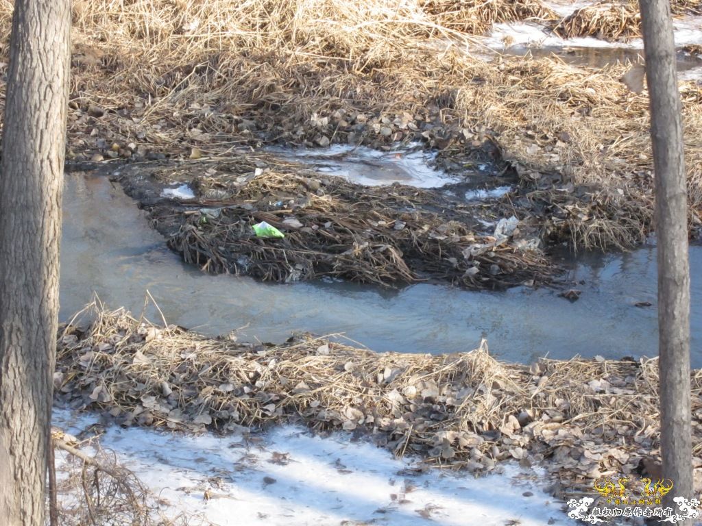 黑镜头—丑态+病态