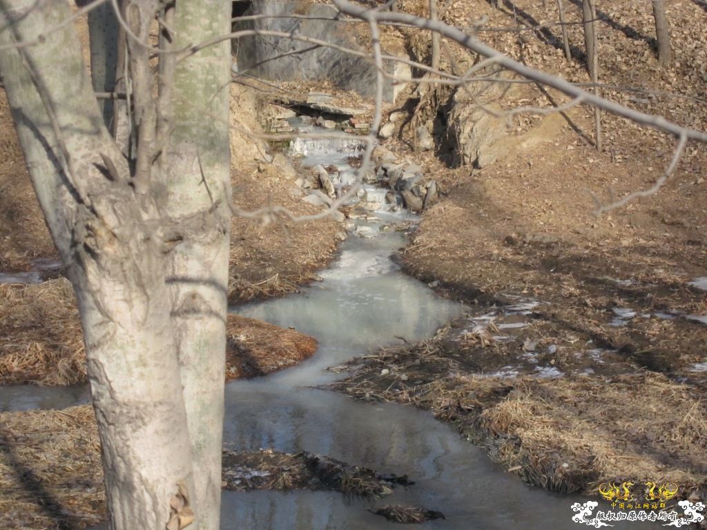 黑镜头—丑态+病态